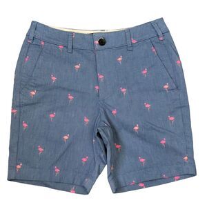 NWT Hollister Men's 28 Blue Pink Epic Flex Flamingo Flat Front Shorts 7"